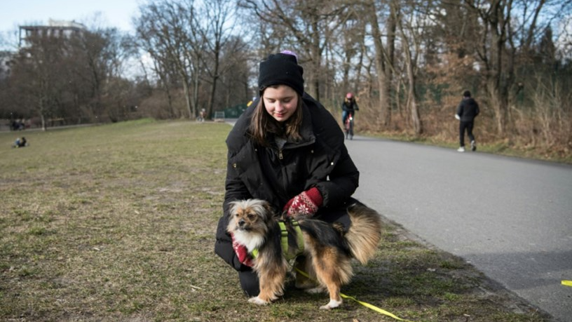 إقبال في ألمانيا على اقتناء الحيوانات الأليفة بحثاً عن الرفقة في مواجهة الوباء