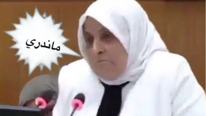 الفيديو الأصلي للجملة الشهيرة "وين... ما ندري" يشعل السوشيال ميديا