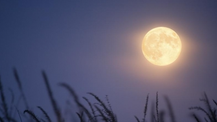 إكتمال القمر في برج الأسد "القمر الثلجي"  كيف يؤثر على الأبراج؟ - فيديو