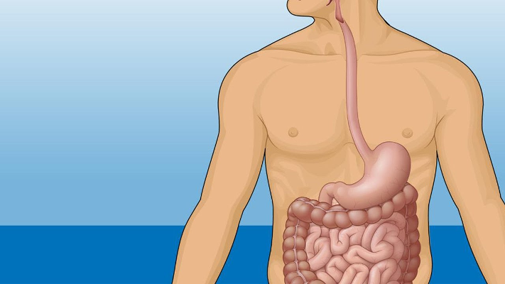 تنظيف الجهاز الهضمي والقولون... ما الطريقة الصحيحة؟ - فيديو
