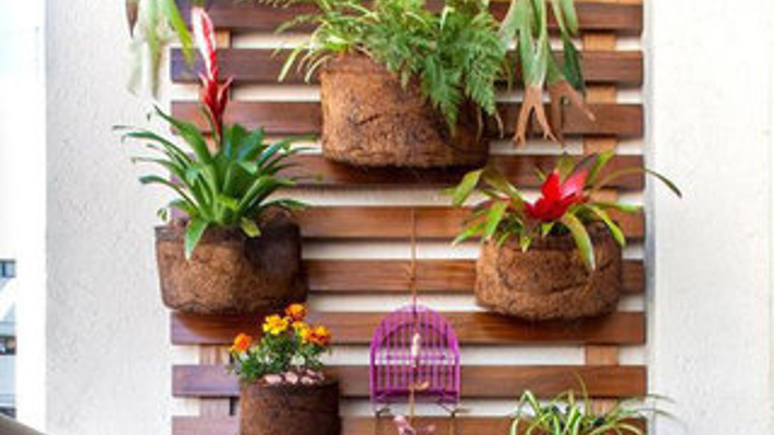 صور ونصائح لـ تنسيق النباتات الداخلية مع ديكور المنزل