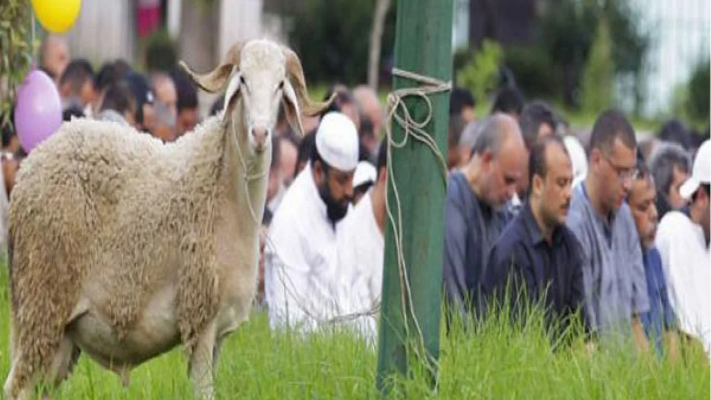 تعرفوا على أبرز العادات والتقاليد العربية في عيد الأضحى