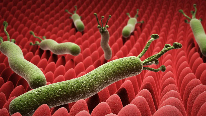 العسل والألبان .. علاج طبيعي للجرثومة الحلزونية - فيديو