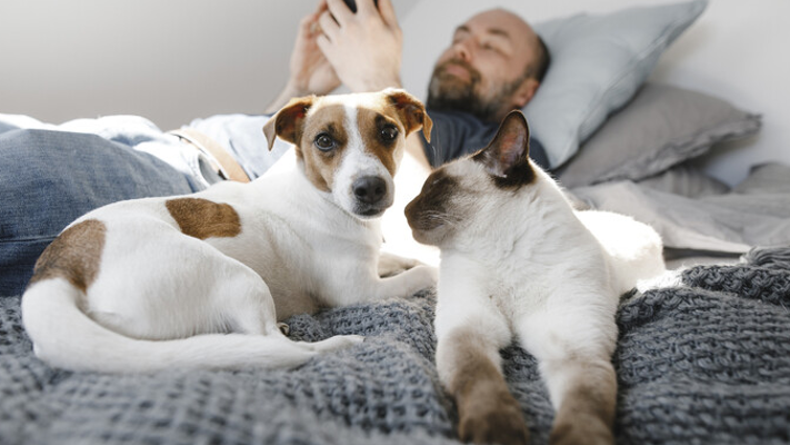 العلم يثبت كيف يؤثر اقتناء قطة أو كلب على جودة النوم