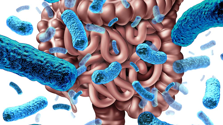 فرط نمو البكتيريا في الأمعاء الدقيقة: كيف يحدُث وما أعراضه؟ - فيديو