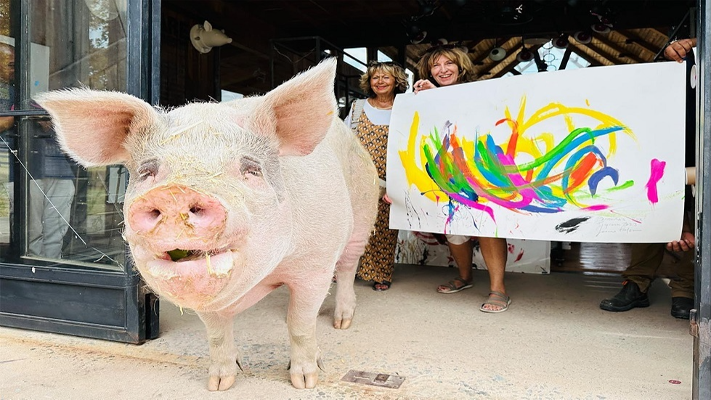 الخنزير "بيغكاسو" يبيع لوحاته بمليون دولار!