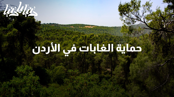 إعادة التشجير في الأردن: دور حيوي في استعادة التوازن البيئي وحماية الغابات