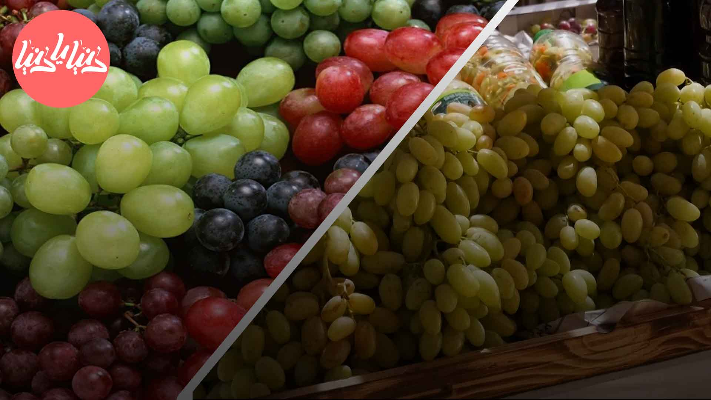 مهرجان أيام العنب الخليلي في مدينة الخليل - فيديو