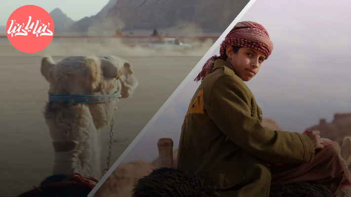 فيلم هجان: استعد لاستكشاف ثقافة الهجن الرائعة في السعودية - فيديو