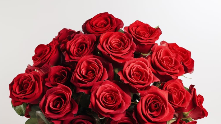 مشتل يعتذر عن بيع الورد الأحمر يوم "عيد الحب" وهذا هو السبب - صورة