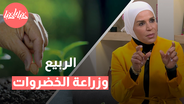ما هي الخضروات المناسبة للزراعة في فصل الربيع؟ - فيديو