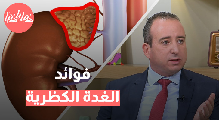 الغدة الكظرية: القوة الخفية التي تحرك جسمك - فيديو