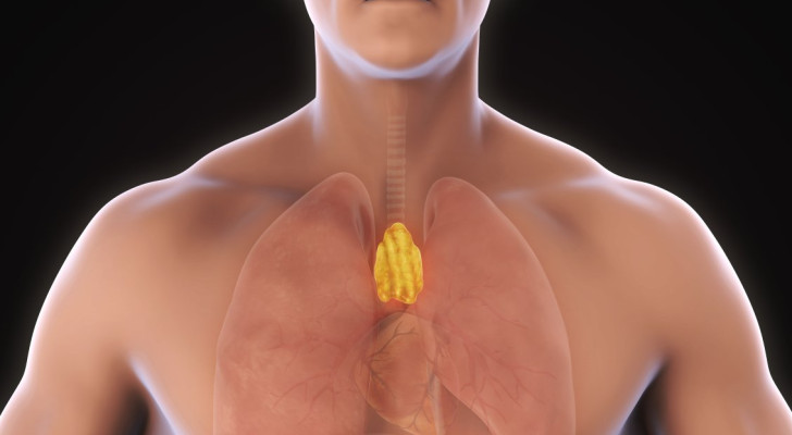 عضو يظنه الكثيرون عديم الفائدة.. لكنه قد يكون سلاحك السري لمحاربة السرطان!