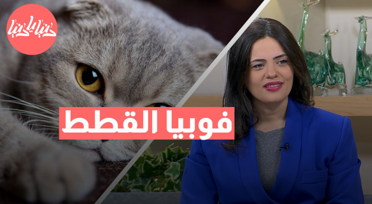 فوبيا القطط: عندما تثير المخلوقات اللطيفة مخاوف لا تُصدق! - فيديو