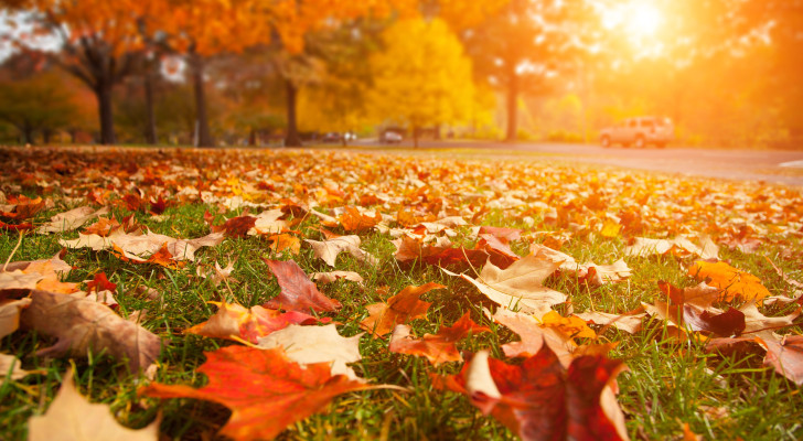 تسجل درجات الحرارة ارتفاعا طفيفا اليوم في المملكة