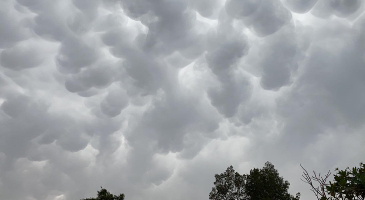 طقس بارد وسحب متفرقة تزين أجواء المملكة مع احتمال هطول زخات الأمطار