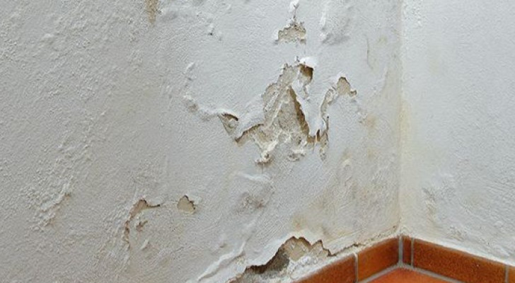 تحذير: العفن والرطوبة في المنازل قد تقودكم إلى مرض رئوي قاتل!