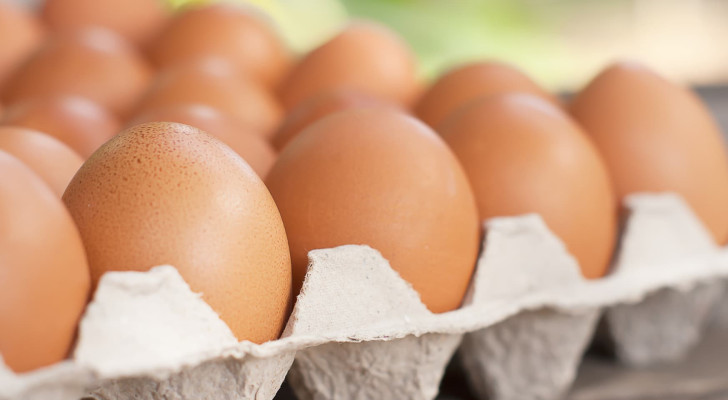 أيهم الأفضل لنمو الشعر وصحته: صفار البيض أم بياضه؟