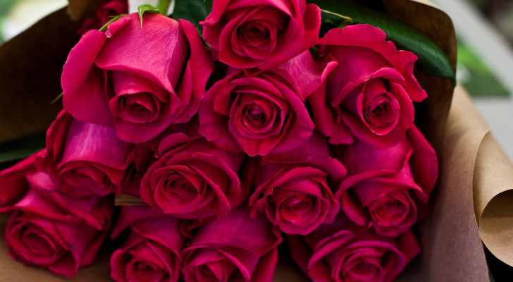 عيد الحب في فرنسا ملوث بـ"المبيد الحشري".. باقات زهور قاتلة!