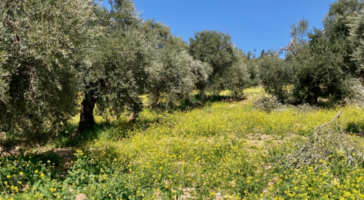 مع نسمات الربيع وأجواء رمضان.. خطط لأنشطة عائلية لا تفوت!