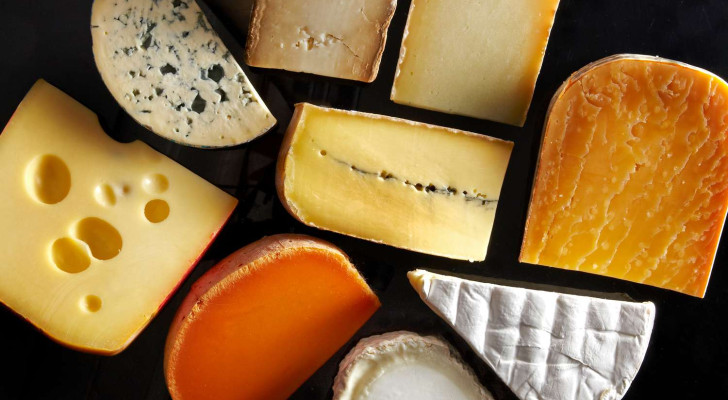 دراسة صادمة: فيروس تنفسي خطير يمكنه البقاء في الجبن لمدة شهرين