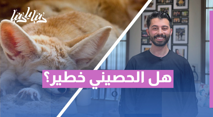 ظهور متكرر للحُصيني.. هل علينا القلق؟ - فيديو