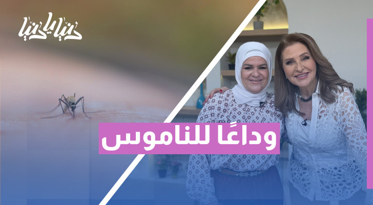 عدو الصيف اللدود: طرق فعّالة للتخلص من الناموس في منزلك - فيديو