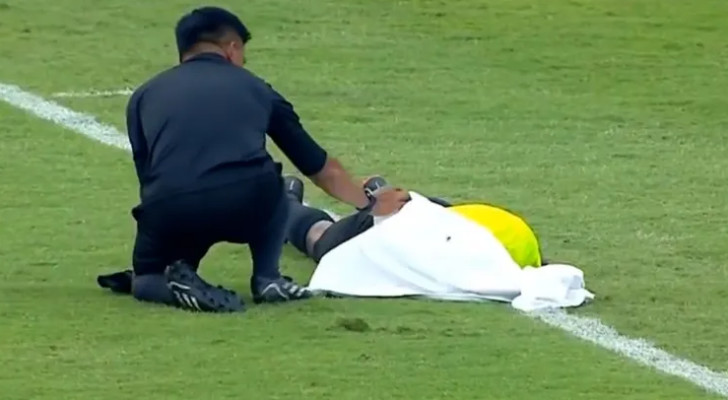 شاهد بالفيديو.. سرب نحل يوقف مباراة ويثير الذعر بين اللاعبين!