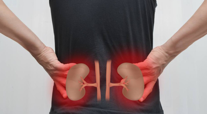 3 أعراض بطنية يومية قد تظنها بسيطة.. لكنها تنبهك إلى مشاكل خطيرة في الكلى