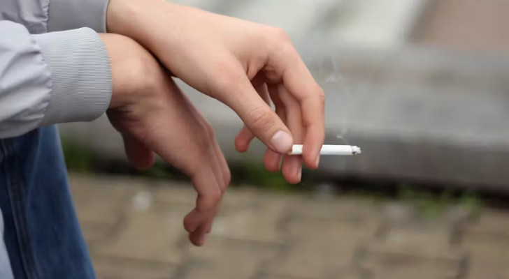 بقرار حاسم… فرنسا تقول وداعا للتدخين في الأماكن العامة