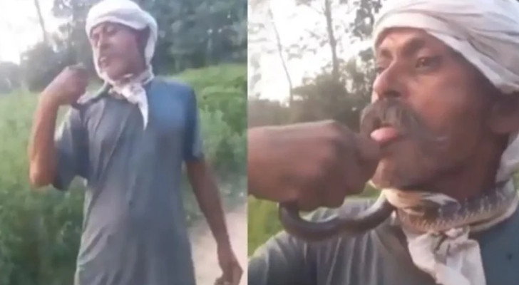 سعى للشهرة .. خمسيني بين الحياة والموت بعد تقبيل كوبرا للتفاخر على الإنترنت!