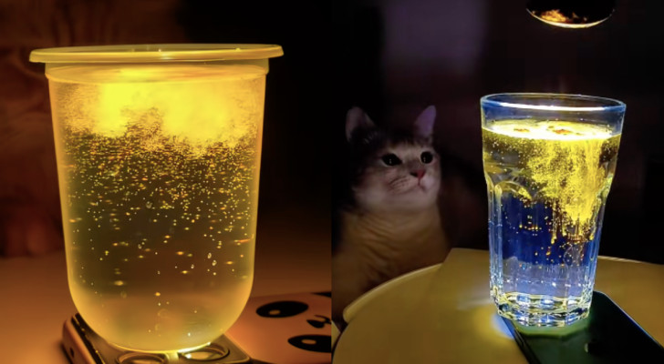 "الكركم المتوهج" يجتاح السوشيال ميديا: تريند سحري يمزج العلم بالمتعة!