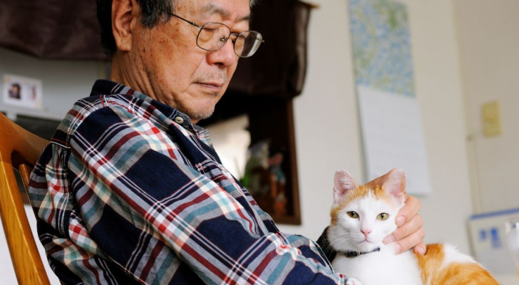 أزمة سكانية غريبة .. القطط والكلاب أكثر من الأطفال في اليابان!