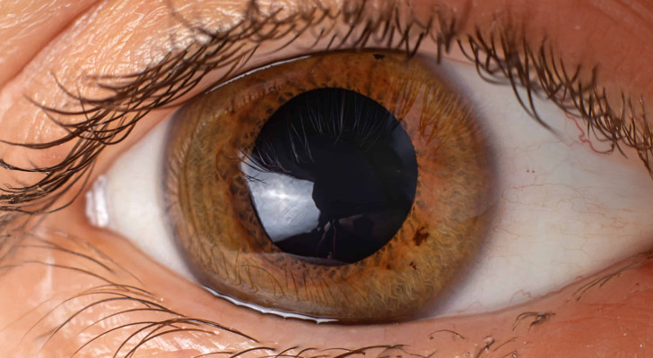 أطباء عيون: احذروا العدسات اللاصقة لفترة طويلة.. قد تحرم العيون من التنفس!