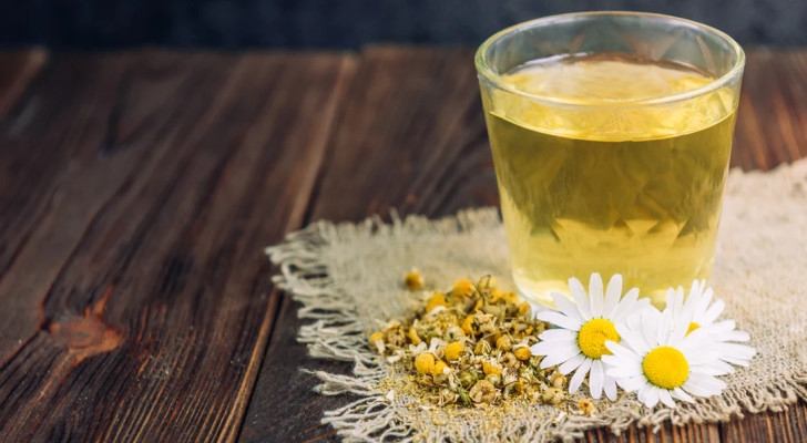 أجدادنا لم يخطئوا.. كوب بابونج قبل النوم يساوي ساعات من الراحة!