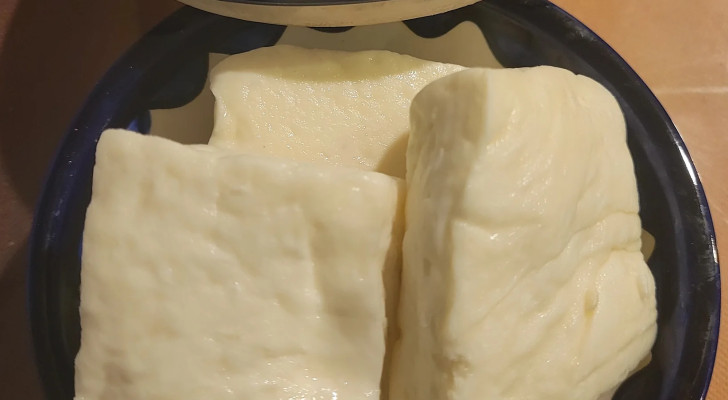 من ملمس الجبن اعرف الحقيقة: كيف نكشف إذا كان الجبن صالحًا للأكل؟