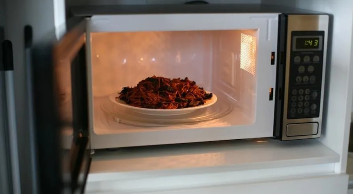 ما لا يجب وضعه في الميكرويف: اكتشف الأواني الثلاثة المحظورة