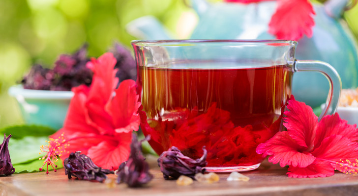 ماذا سيحدث لجسمك إذا تناولت كوب كركديه يوميا؟