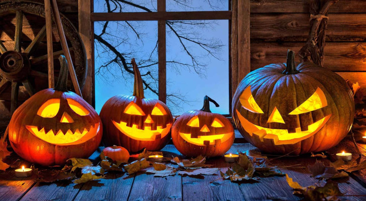 تحذير عالمي:  بعد كل عيد هالوين… اليقطين يتحول من زينة مرحة إلى كارثة بيئية!