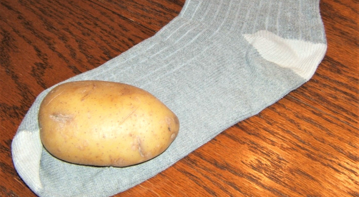 ترند البطاطا في الجوارب .. هل فعلا تحميك من الانفلونزا؟