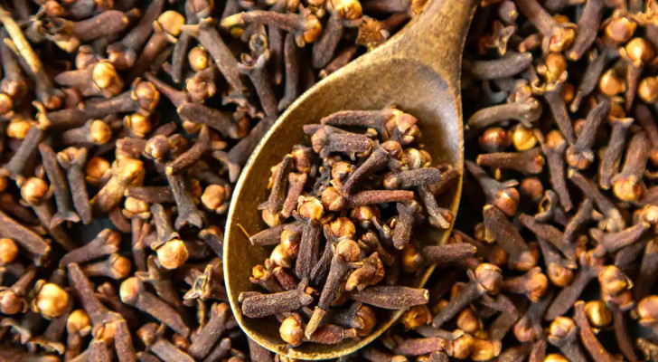ماذا سيحدث في جسمك إذا مضغت القرنفل يوميا؟ 11 فائدة صحية مذهلة