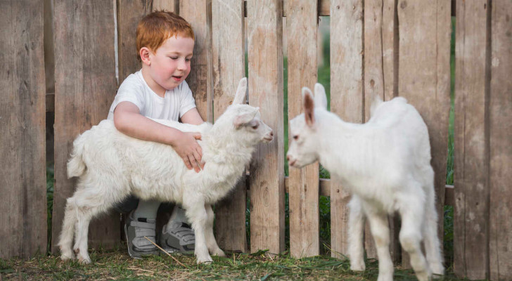 نشأة الأطفال في الريف مع الحيوانات الأليفة تقلل من اضطراباتهم النفسية بنسبة 55٪