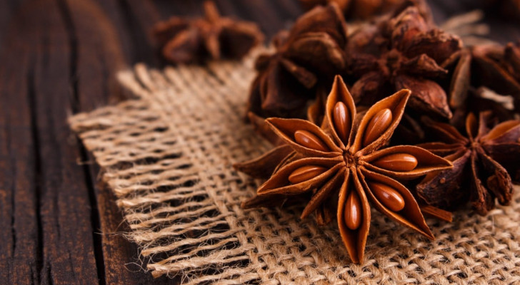 لأصحاب القولون العصبي: هذا ما سيحدث لجسمك إذا شربت الينسون النجمي يوميا!