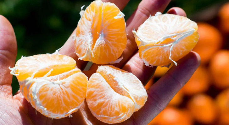 توقف عن إزالة اللب الأبيض من الحمضيات فورا: الكنز الغذائي المخفي في قشرتها الداخلية