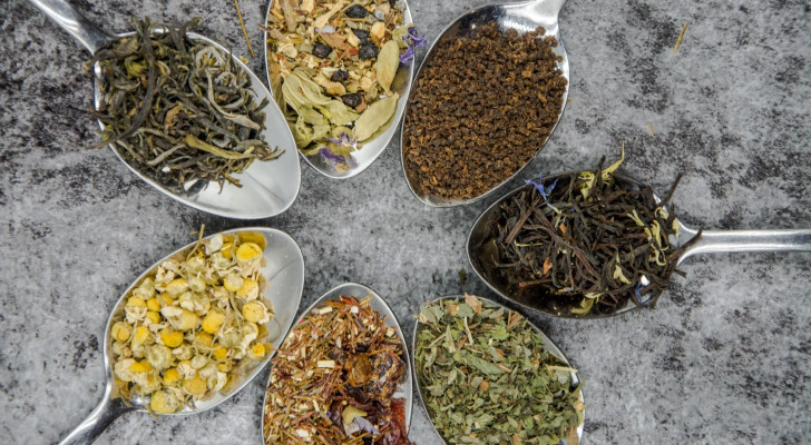 علاج تكيس المبايض بالأعشاب: 5 نباتات طبيعية ذات فعالية علاجية عالية