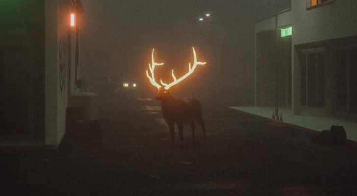 في فنلندا.. يستخدم الرعاة طلاء عاكسا على قرون غزلان الرنة لتجنب حوادث الطرق الليلية