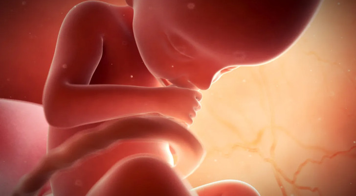 هل تعلم.. الجنين يبدأ بتذوق الطعام الذي تأكله أمه قبل أن يولد!