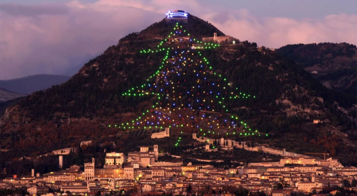 ساحرة وغير مألوفة: أكبر شجرة ميلاد في العالم تضيء من جديد في قلب إيطاليا!