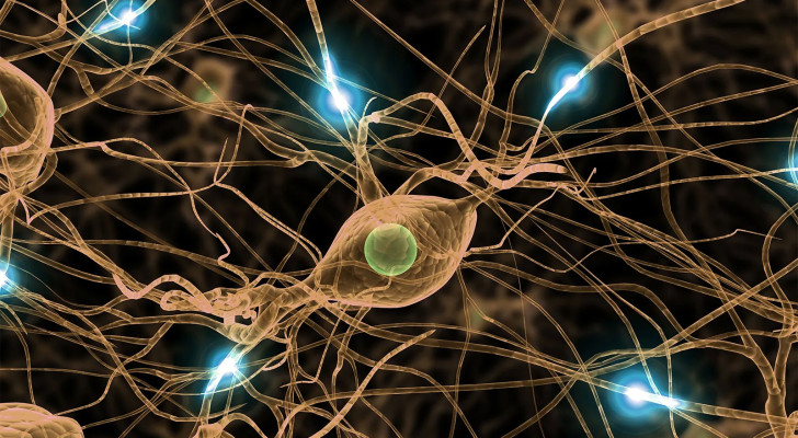 معلومات تسمعها لأول مرة: أرقام فلكية داخل جسدك تكشف أسرارا لم تتخيلها عن حياتك اليومية!