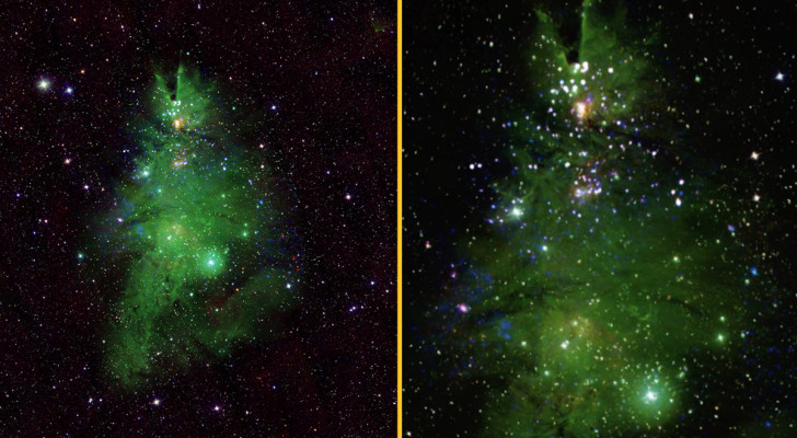 منظر مدهش.. من مجرة درب التبانة: ناسا ترصد شجرة ميلاد فضائية!